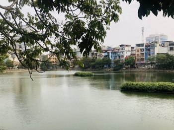 Mang lại sức sống mới cho những “lá phổi xanh”