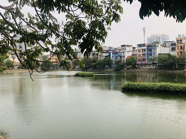 Mang lại sức sống mới cho những “lá phổi xanh”