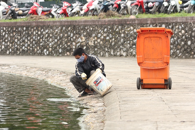 Mang lại sức sống mới cho những “lá phổi xanh”