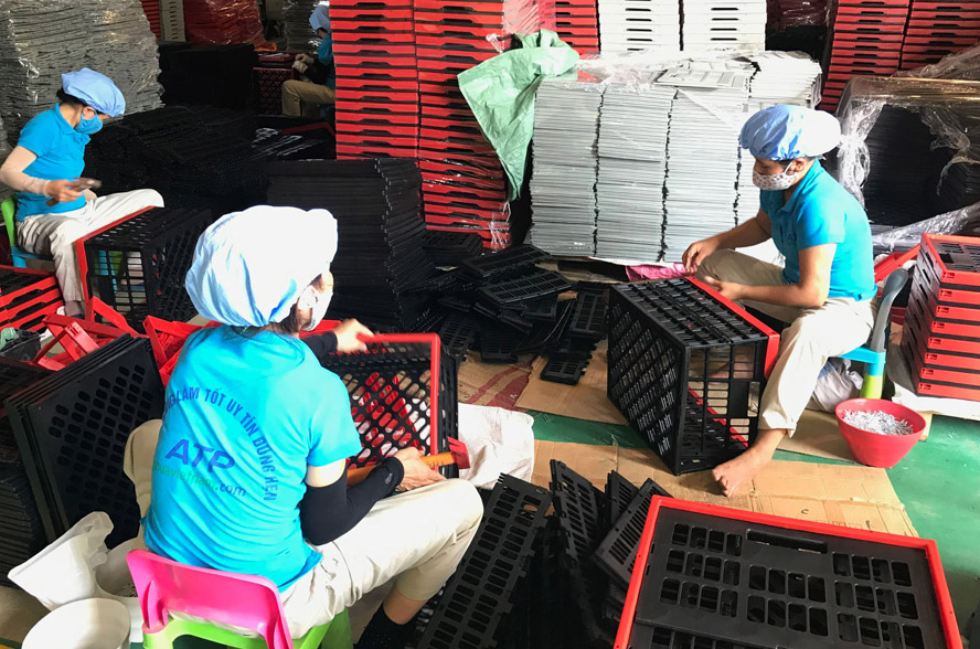 Xuất khẩu trực tuyến - hướng đi hiệu quả