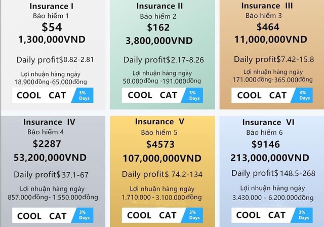 Bỏ tiền tỷ, vay nặng lãi đầu tư Coolcat: Người chơi chết đứng khi sàn sập - 3