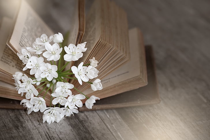tu vi ngay 2652019 tuoi suu xu huong lieu linh tuoi hoi bat dong bao quanh