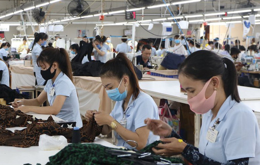Người lao động chưa quan tâm tới lợi ích lâu dài
