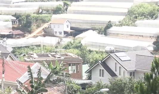 Giá đất Đà Lạt bị cò "hét giá" lên 1 tỷ đồng/m2