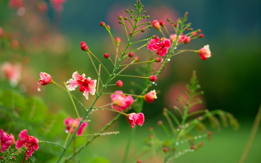 tu vi ngay 2262019 tuoi dan rung rinh tien bac tuoi mui thua thang xong len