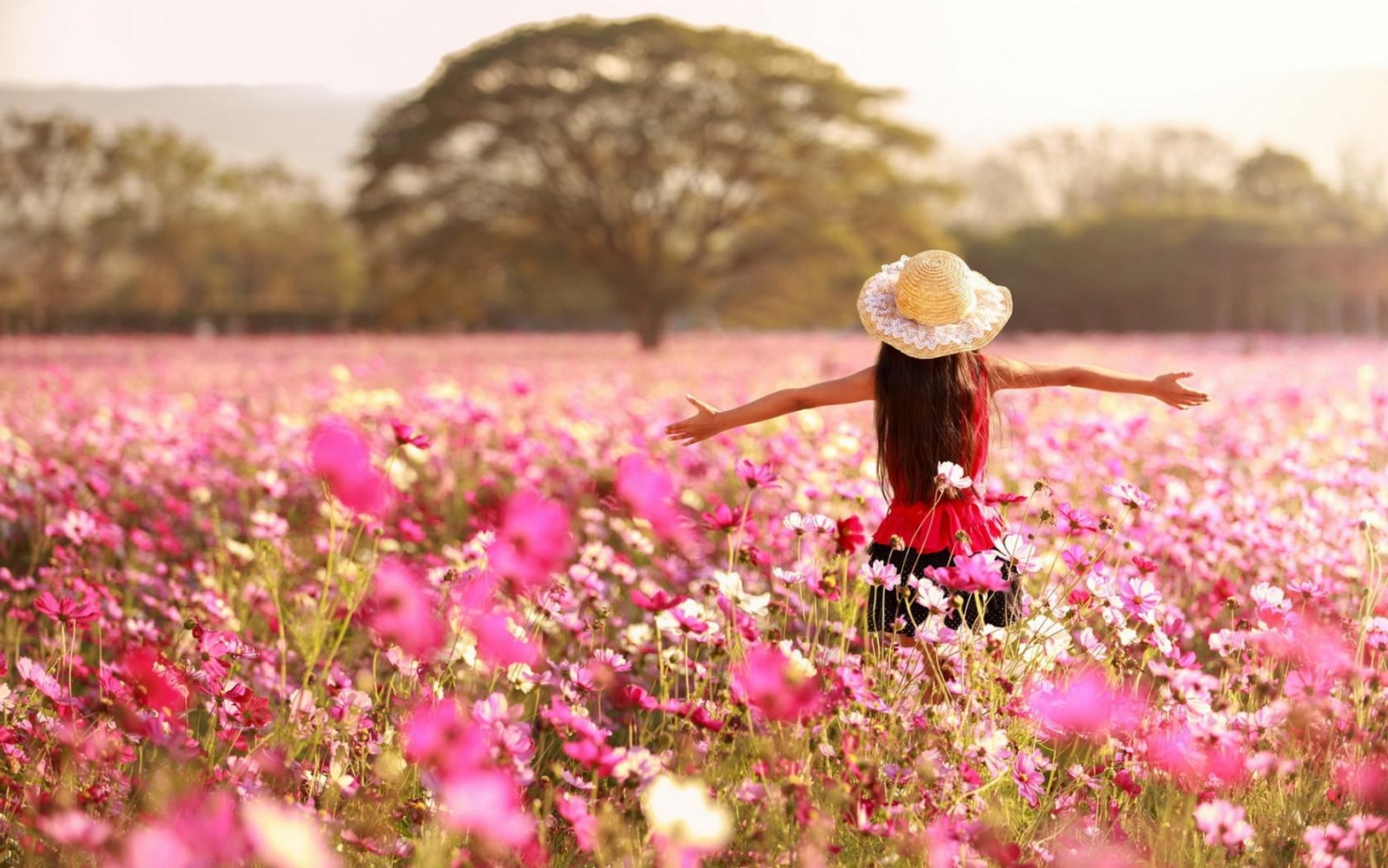 tu vi ngay 2662019 tuoi dan nhin thang sai lam tuoi mui don thuong doc ma