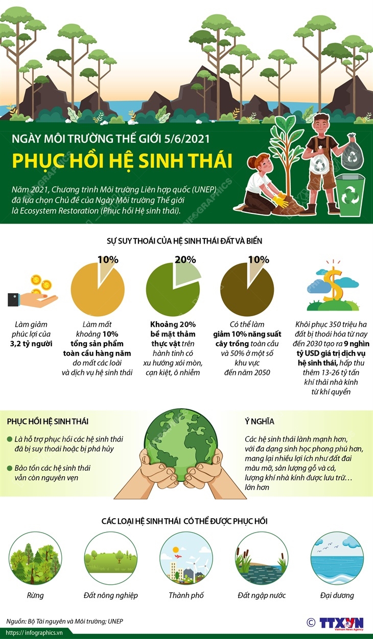 Ngày Môi trường thế giới 2021: Bắt đầu công cuộc phục hồi hệ sinh thái Ngày Môi trường thế giới 2021: Bắt đầu công cuộc phục hồi hệ sinh thái