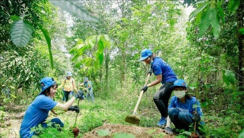 Ngày Môi trường thế giới 2021: Bắt đầu công cuộc phục hồi hệ sinh thái Ngày Môi trường thế giới 2021: Bắt đầu công cuộc phục hồi hệ sinh thái
