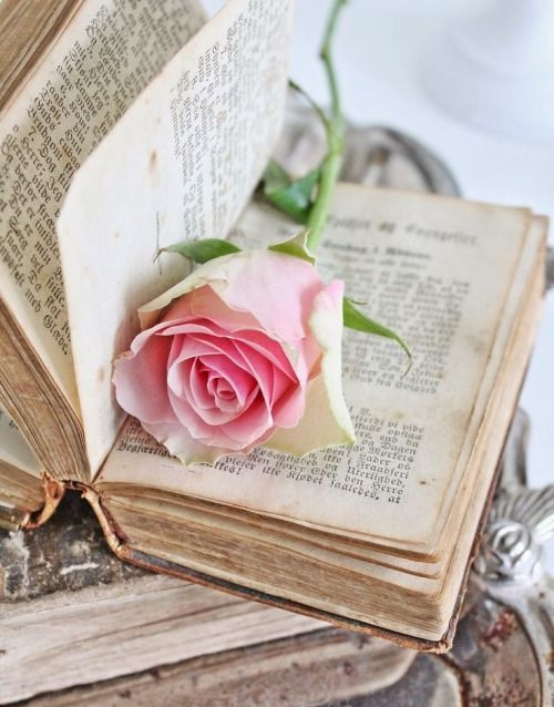 Tử vi ngày 9/7/2021: Tuổi Dần bài học đau thương, tuổi Hợi cơ hội tiền bạc
