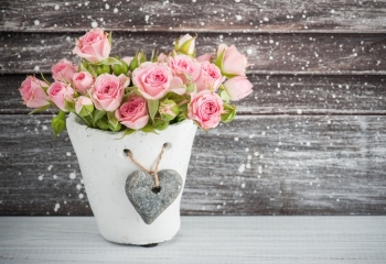Tử vi ngày 6/7/2020: Tuổi Sửu phải biết lượng sức, tuổi Hợi gặt hái thành quả