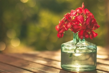 Tử vi ngày 18/2/2021: Tuổi Sửu tạo được uy tín, tuổi Mùi thu về lợi nhuận