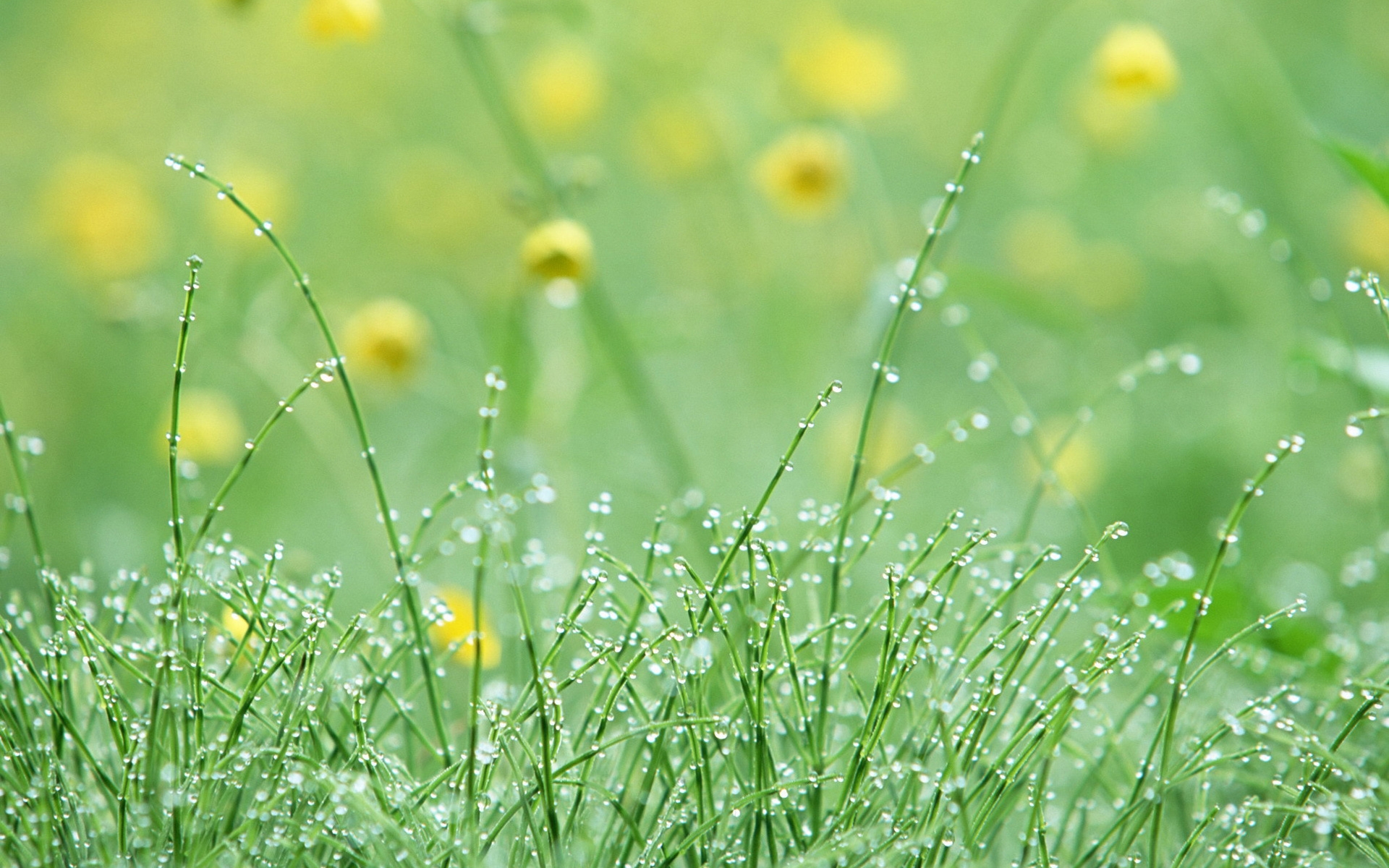 Tử vi ngày 24/7/2021 của 12 cung hoàng đạo: Cự Giải nhạy cảm Tử vi ngày 24/7/2021 của 12 cung hoàng đạo: Cự Giải nhạy cảm