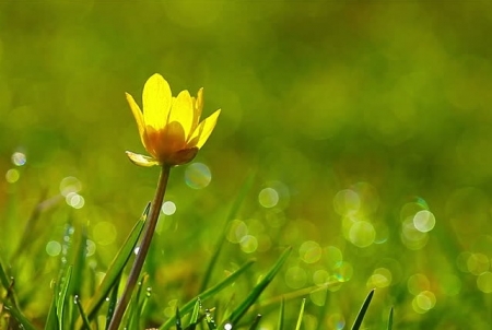 Tử vi ngày 23/9/2023: Tuổi Mùi trời không phụ lòng, tuổi Dậu quý nhân thầm giúp