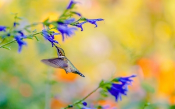 Tử vi ngày 28/8/2019: Tuổi Sửu may mắn đặc biệt, tuổi Tuất xui xẻo đủ đường