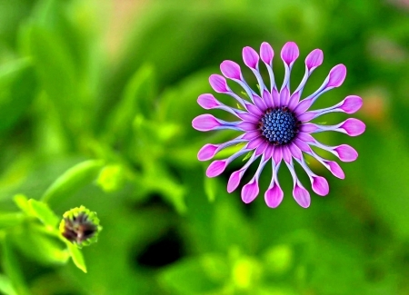 Tử vi ngày 16/11/2022: Tuổi Tỵ sớm đón tin vui, tuổi Ngọ tiền bạc tìm đến