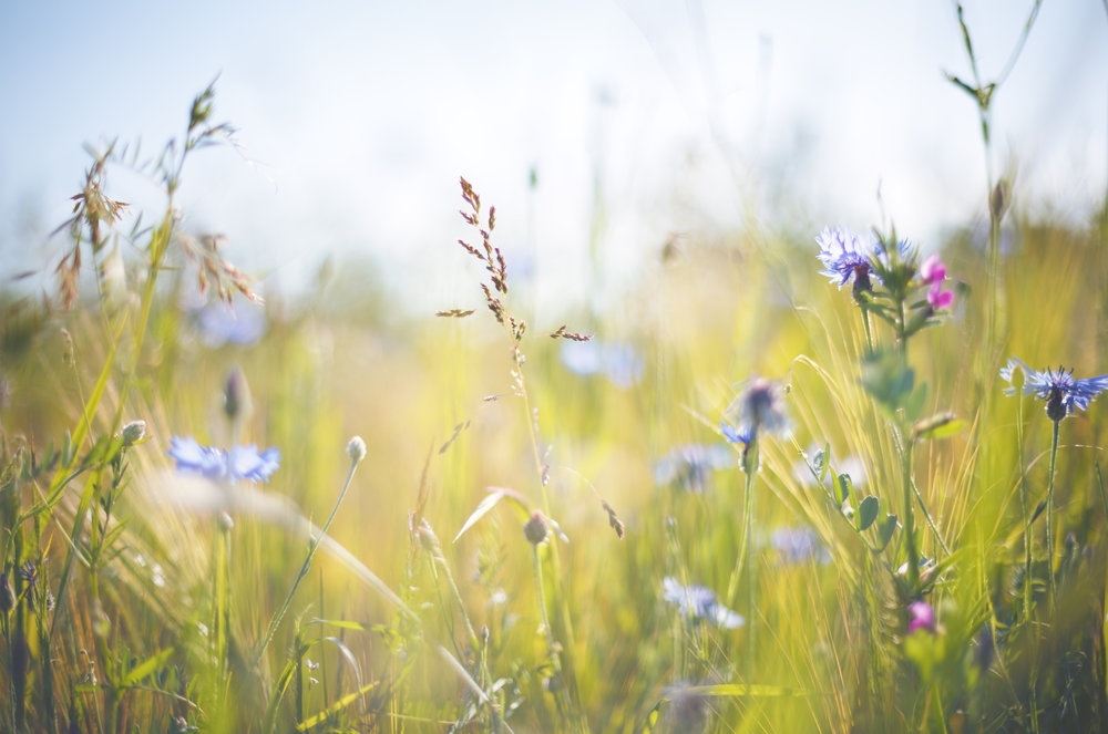 Tử vi tuần mới 24/5 - 30/5 của 12 cung hoàng đạo: Kim Ngưu đừng bỏ lỡ thời cơ Tử vi tuần mới 24/5 30/5 của 12 cung hoàng đạo: Kim Ngưu đừng bỏ lỡ thời cơ