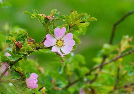 Tử vi tuần mới 25/12 - 31/12/2023: Tuổi Sửu khó tránh áp lực, tuổi Tỵ nhiều điều kiện tốt