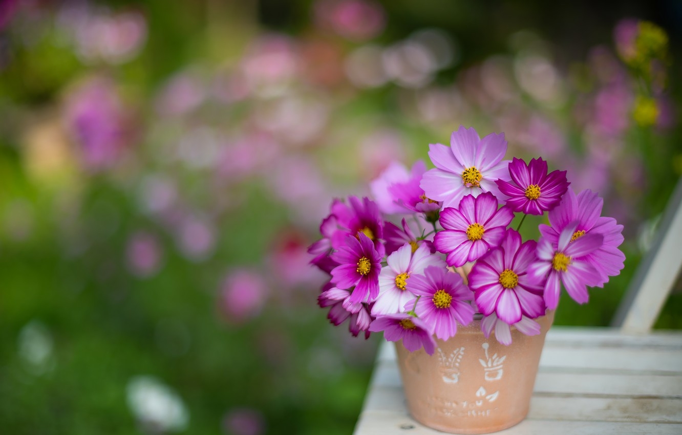 Tử vi ngày 7/2/2021: Tuổi Tý may mắn đồng hành, tuổi Thân quý nhân trợ mệnh