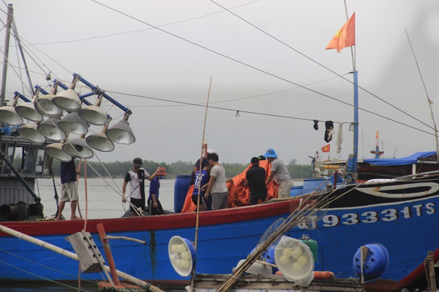 Nhiều tỉnh miền Trung “cấm biển”, cho học sinh nghỉ học tránh bão - 5