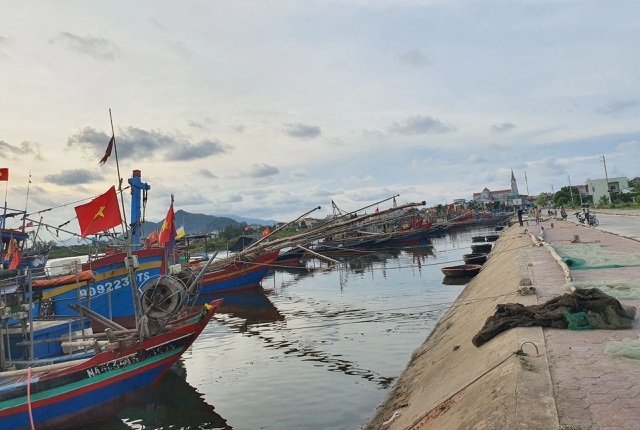 Chạy bão ngư dân vẫn trúng mẻ cá dũa thu hàng chục triệu đồng