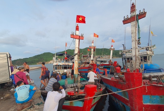 Chạy bão ngư dân vẫn trúng mẻ cá dũa thu hàng chục triệu đồng