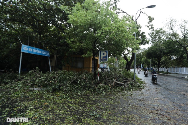 Cố đô Huế “chảy máu xanh” sau bão số 5 - 2