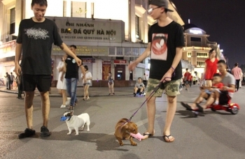 Hà Nội yêu cầu không nói tục và dắt, thả thú cưng ở phố đi bộ hồ Hoàn Kiếm