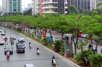 Hà Nội sắp hoàn thành kế hoạch trồng 600.000 cây xanh