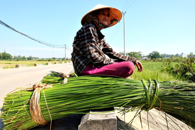 Làng dệt chiếu cổ hơn 300 năm tuổi ở Quảng Nam có nguy cơ mai một - 3