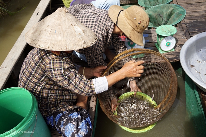 Đồng bằng sông Cửu Long "đói" lũ