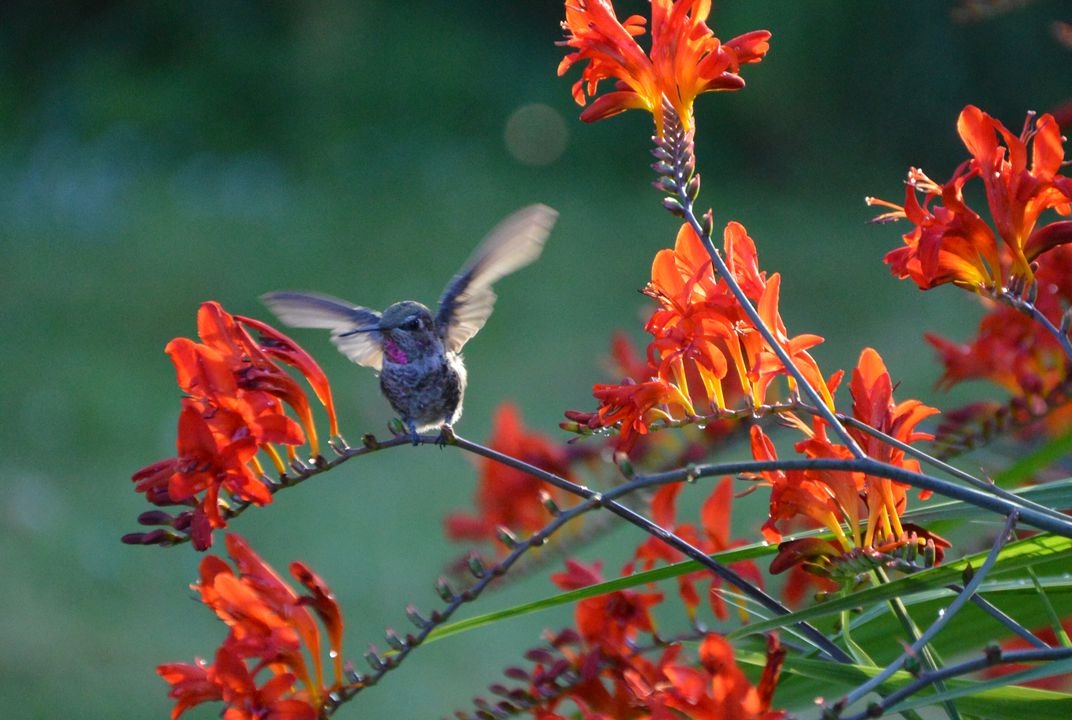 Tử vi ngày 22/10/2019: Tuổi Tỵ chịu thiệt về mình, tuổi Hợi vận tài lộc đến tu vi ngay 22102019 tuoi ty chiu thiet ve minh tuoi hoi van tai loc den