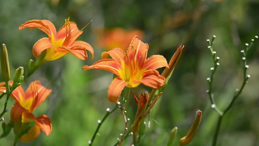 Tử vi ngày 22/10/2019: Tuổi Tỵ chịu thiệt về mình, tuổi Hợi vận tài lộc đến tu vi ngay 22102019 tuoi ty chiu thiet ve minh tuoi hoi van tai loc den