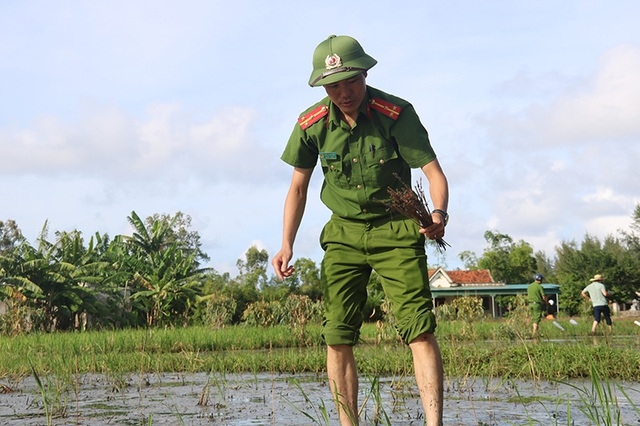 Truy quét, tháo dỡ “thiên la địa võng” tận diệt chim trời