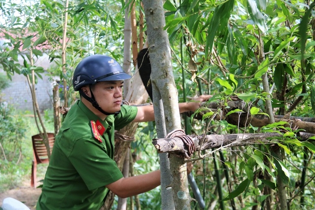 Truy quét, tháo dỡ “thiên la địa võng” tận diệt chim trời