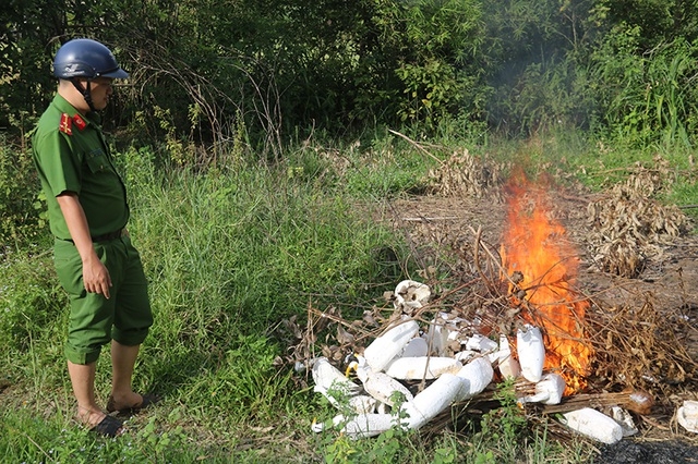 Truy quét, tháo dỡ “thiên la địa võng” tận diệt chim trời