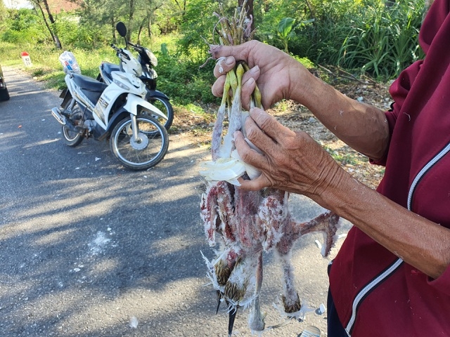 Truy quét, tháo dỡ “thiên la địa võng” tận diệt chim trời