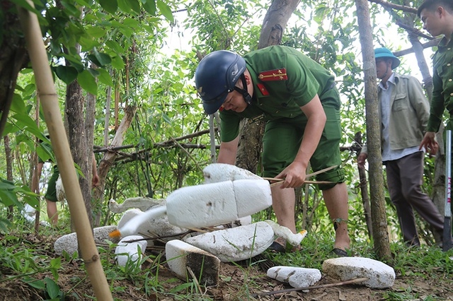 Truy quét, tháo dỡ “thiên la địa võng” tận diệt chim trời