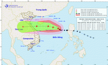 Miền Trung gấp rút ứng phó bão số 8; huy động tổng lực cứu trợ người dân
