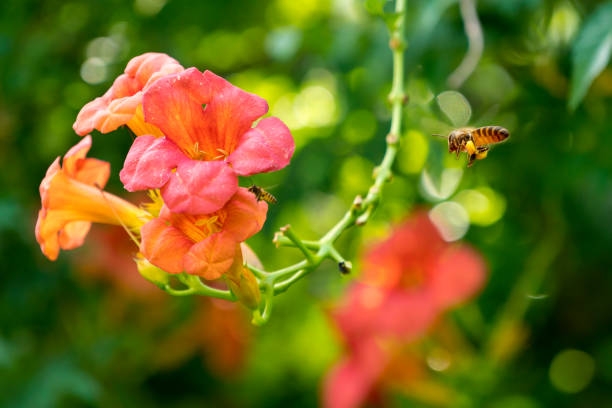 Tử vi ngày 21/5/2021: Tuổi Tý có người ngầm hại, tuổi Tỵ cơ hội hành động