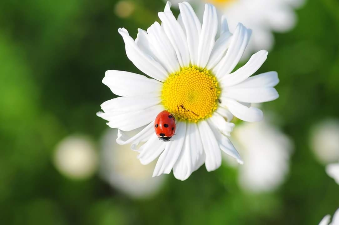 Tử vi ngày 19/11/2022: Tuổi Thân túi tiền rủng rỉnh, tuổi Hợi việc gì cũng thành Tử vi ngày 19/11/2022: Tuổi Thân túi tiền rủng rỉnh, tuổi Hợi việc gì cũng thành