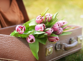 Tử vi tuần mới 8/3 - 14/3: Tuổi Thìn tiểu nhân quấy nhiễu, tuổi Ngọ tài lộc khởi sắc