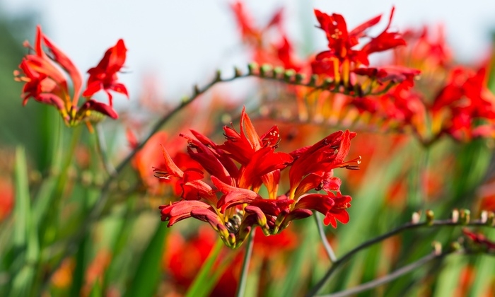 Tử vi ngày 1/1/2023: Tuổi Tỵ cơ hội tỏa sáng, tuổi Dậu tài vận khởi sắc Tử vi ngày 1/1/2023: Tuổi Tỵ cơ hội tỏa sáng, tuổi Dậu tài vận khởi sắc