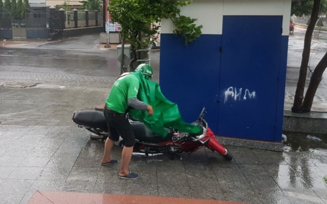 Hình ảnh bão số 12 