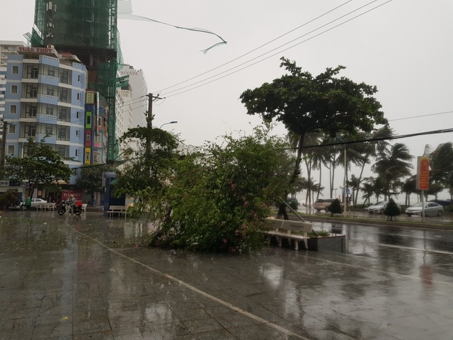 Hình ảnh bão số 12 