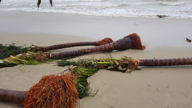 Bão số 13 tàn phá nhiều tuyến đê, kè biển miền Trung - 11 Bão số 13 tàn phá nhiều tuyến đê, kè biển miền Trung - 11