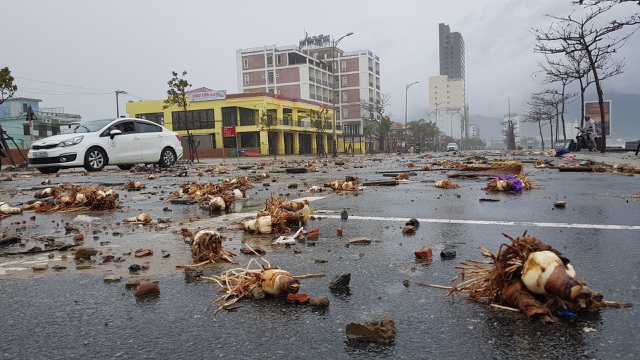 Bão số 13 tàn phá nhiều tuyến đê, kè biển miền Trung - 12 Bão số 13 tàn phá nhiều tuyến đê, kè biển miền Trung - 12