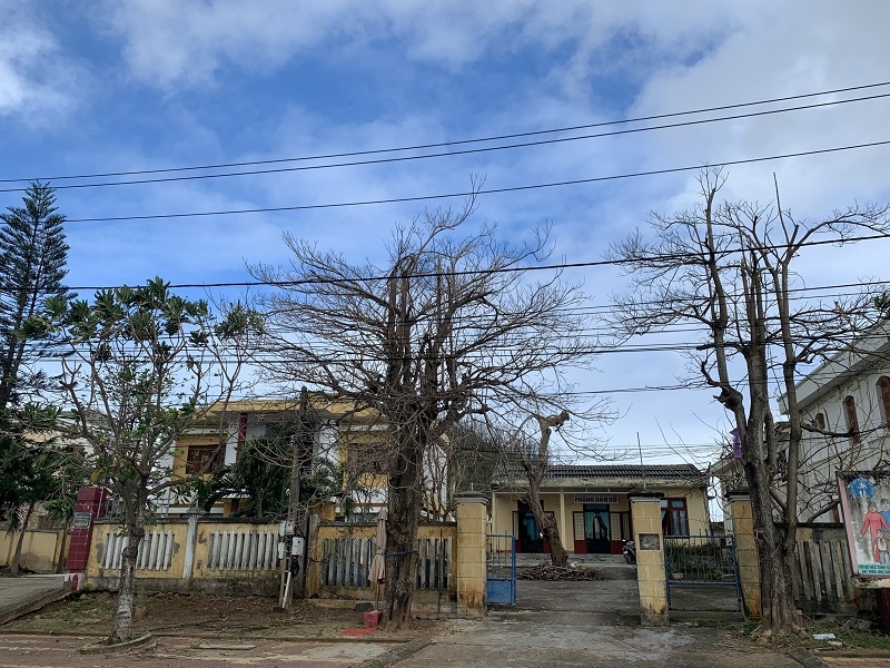 Lý Sơn: Đảo không còn xanh Lý Sơn: Đảo không còn xanh
