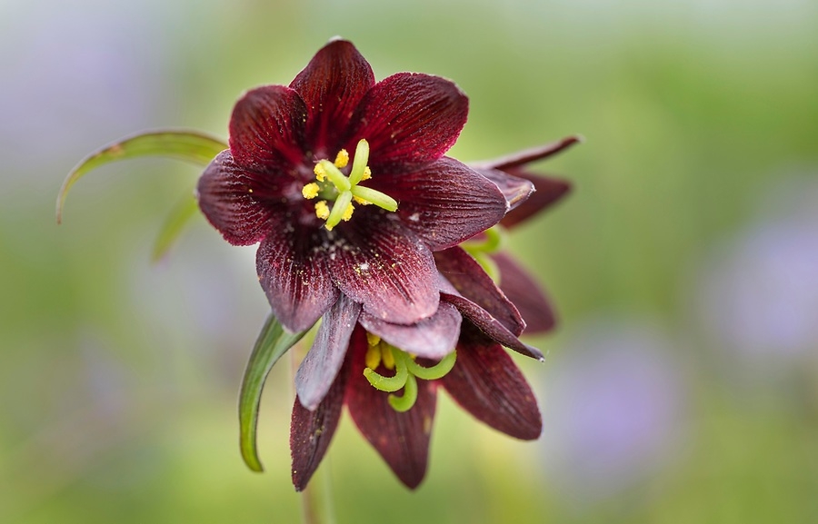 Tử vi ngày 27/12/2022: Tuổi Mão nguy cơ mất tiền, tuổi Tuất tài chính dư dả Tử vi ngày 27/12/2022: Tuổi Mão nguy cơ mất tiền, tuổi Tuất tài chính dư dả