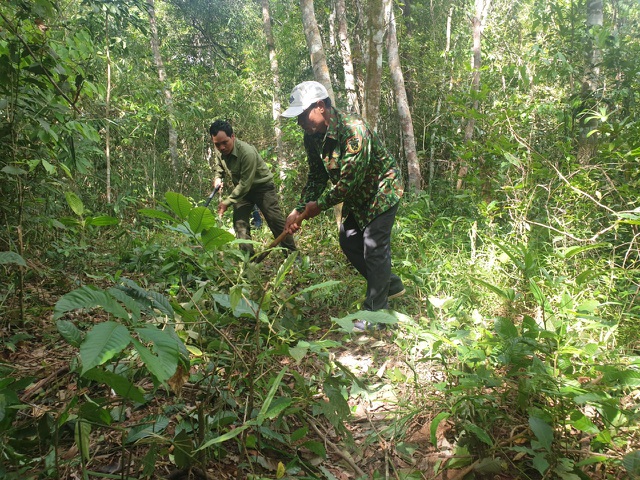 Nghề giữ rừng dưới chân núi Tà Đùng của đồng bào Châu Mạ - 4