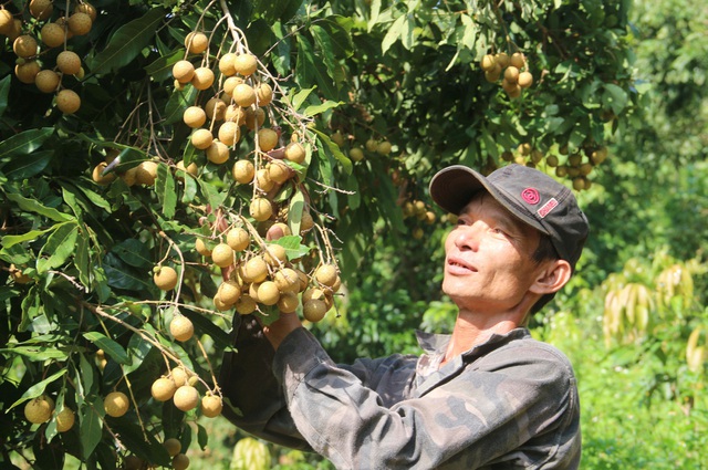 Nông sản Việt muốn rộng đường xuất khẩu cần chứng minh thư GlobalGAP? - 1